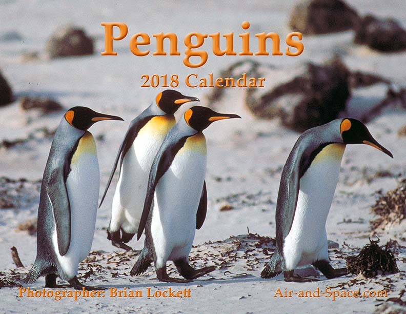 Lockett Books Calendar Catalog: Penguins